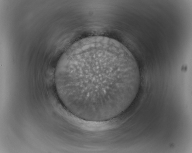 X0000113230034200910011420