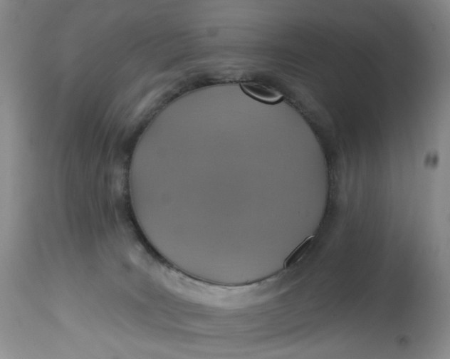 X0000113230035200910011419