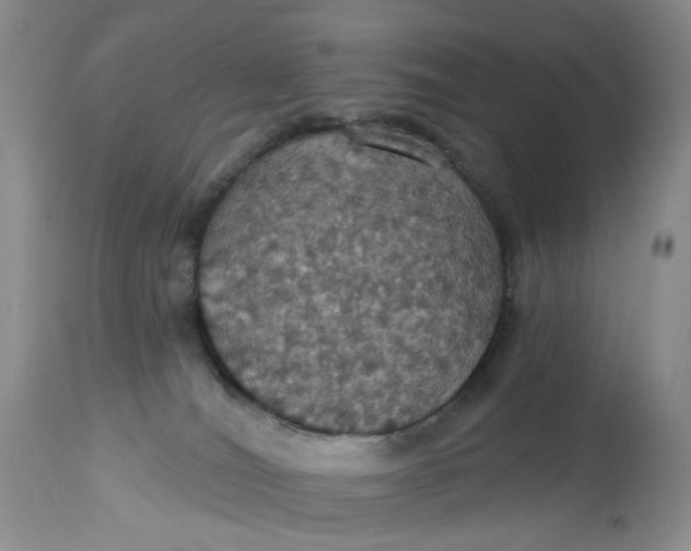 X0000113230036200910011419