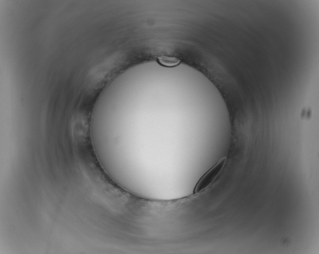 X0000113230037200910011419