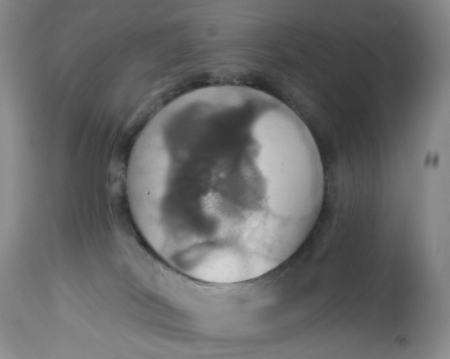 X0000113230038200910011419