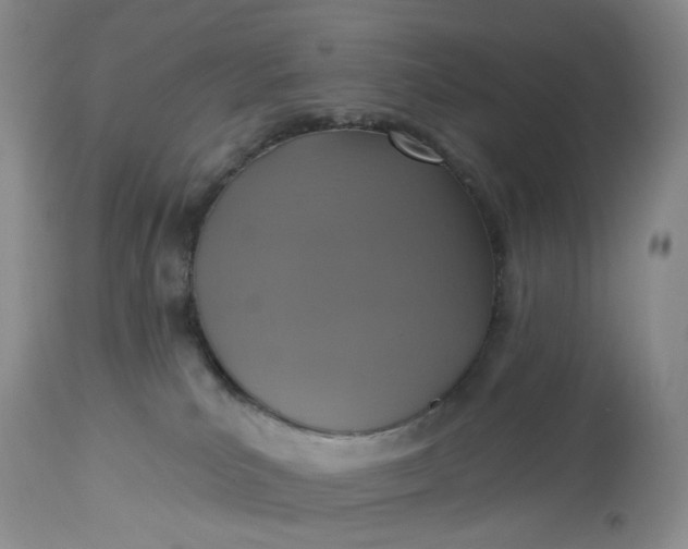 X0000113230039200910011419