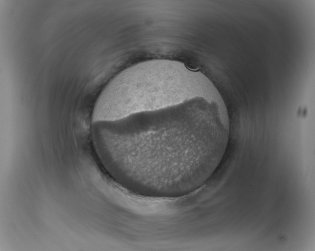 X0000113230040200910011419