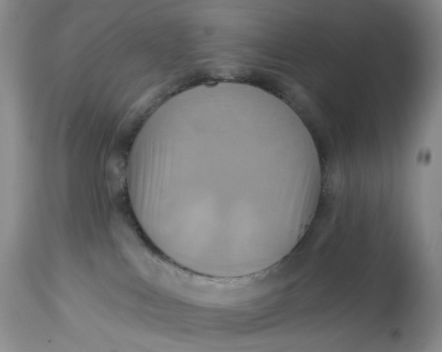 X0000113230043200910011419