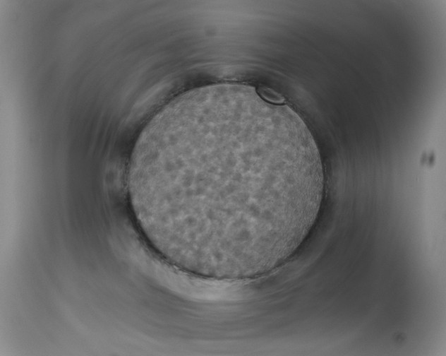 X0000113230044200910011419