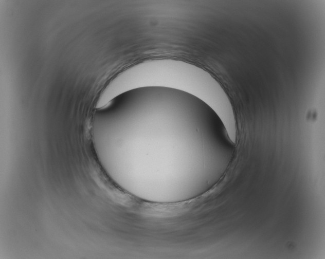 X0000113230045200910011419