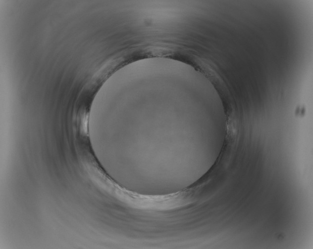 X0000113230046200910011419