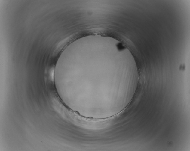 X0000113230047200910011419