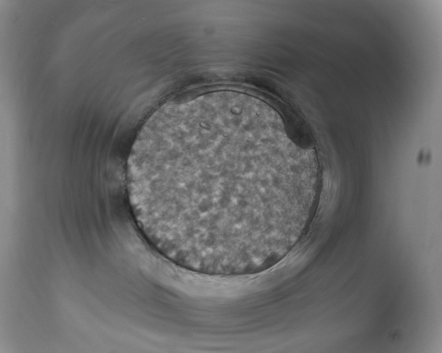 X0000113230048200910011419