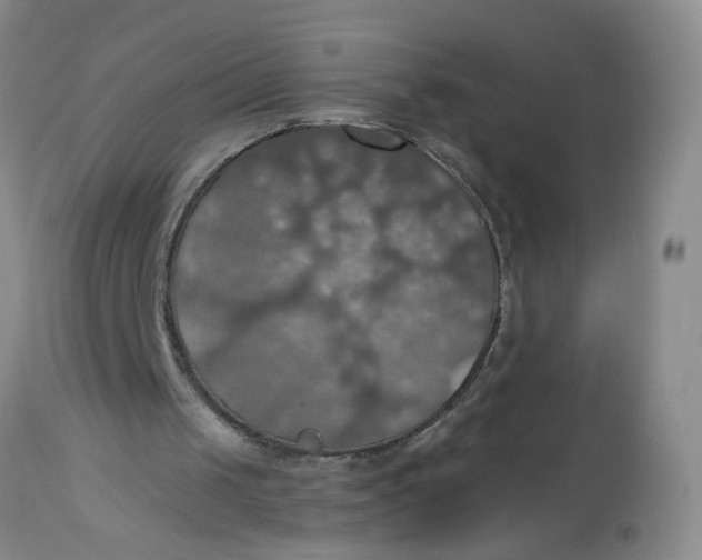 X0000113230049200910011418