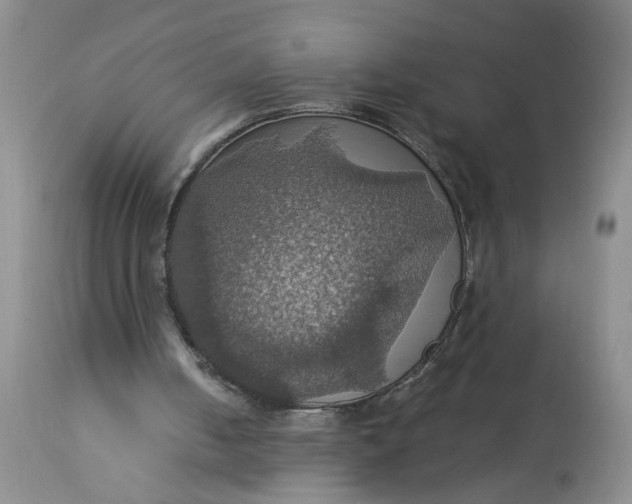 X0000113230050200910011418