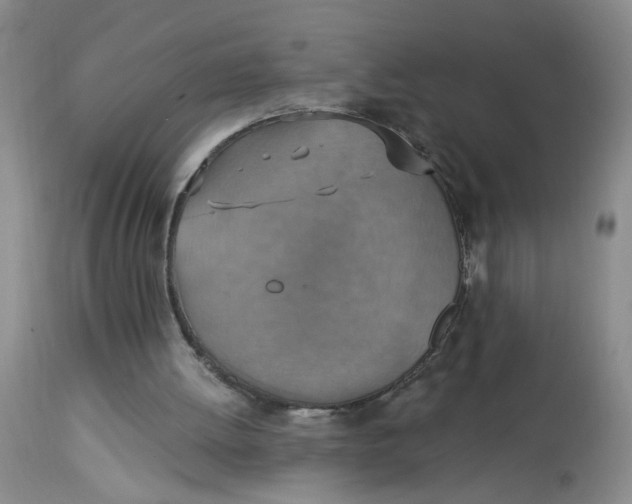 X0000113230052200910011419