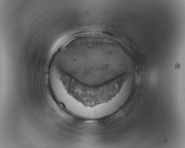 X0000113230053200910011419