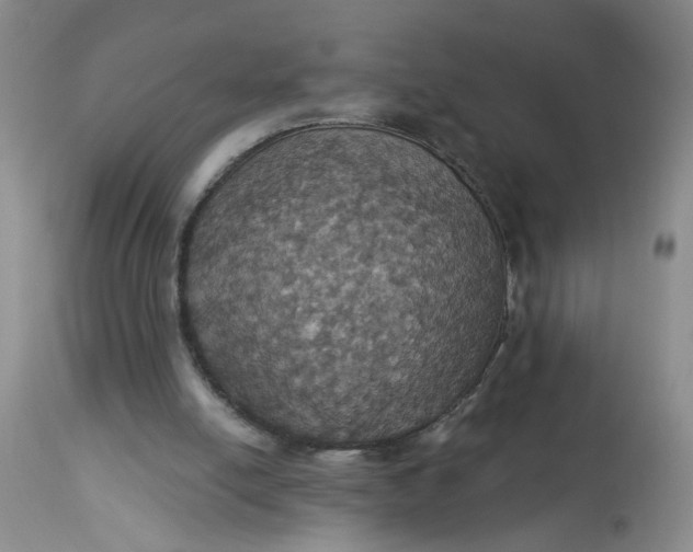 X0000113230054200910011419