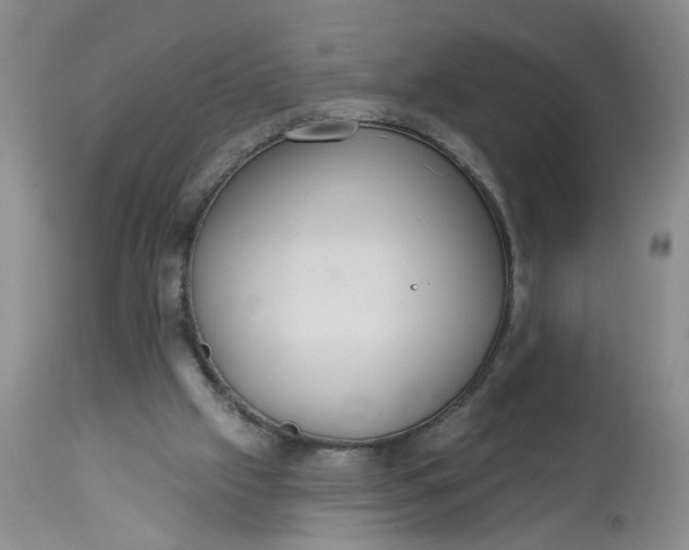 X0000113230057200910011419