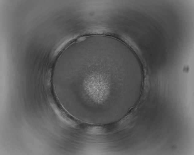 X0000113230058200910011419