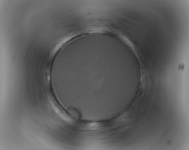 X0000113230059200910011419