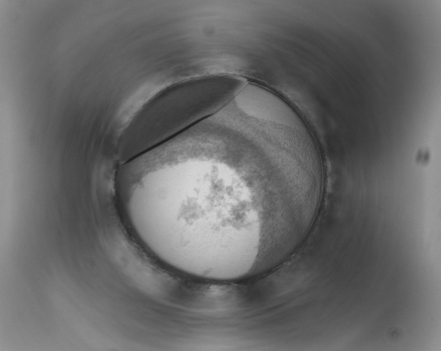 X0000113230060200910011419