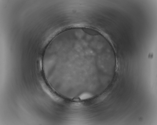 X0000113230061200910011419