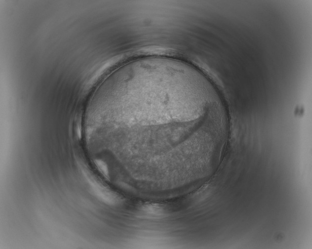 X0000113230062200910011419