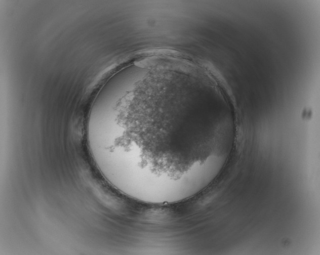 X0000113230063200910011419