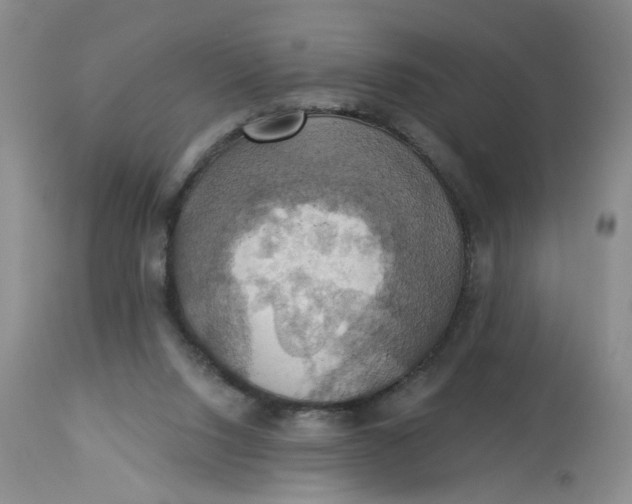 X0000113230064200910011419