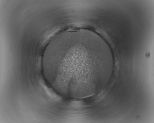 X0000113230066200910011419