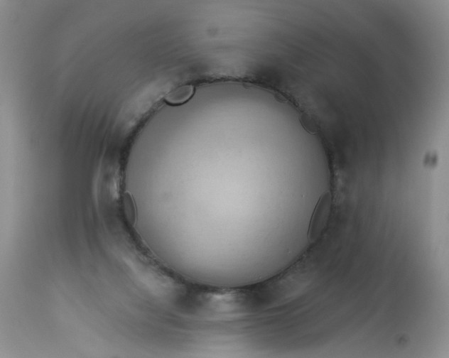 X0000113230068200910011419