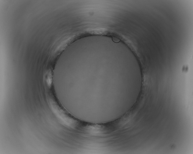 X0000113230069200910011419