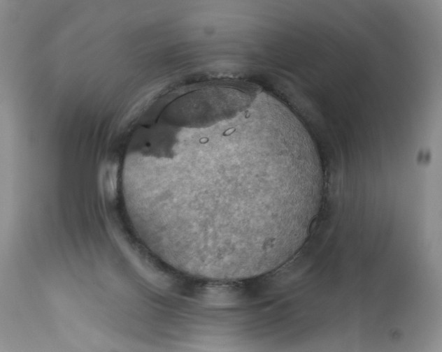 X0000113230070200910011419