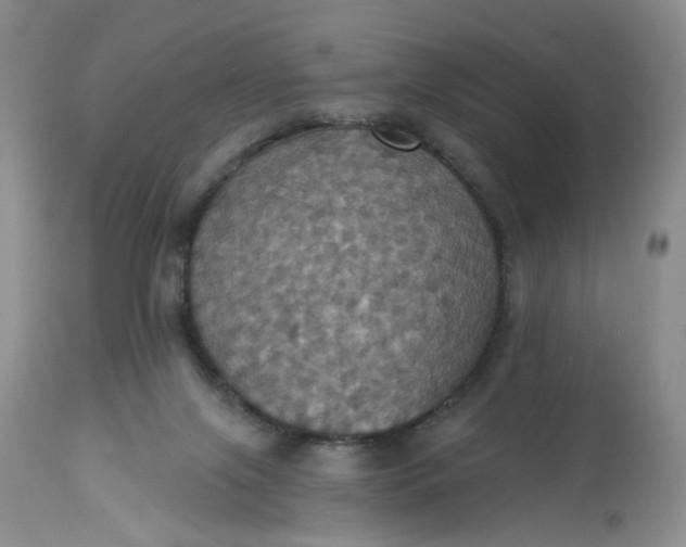 X0000113230071200910011419