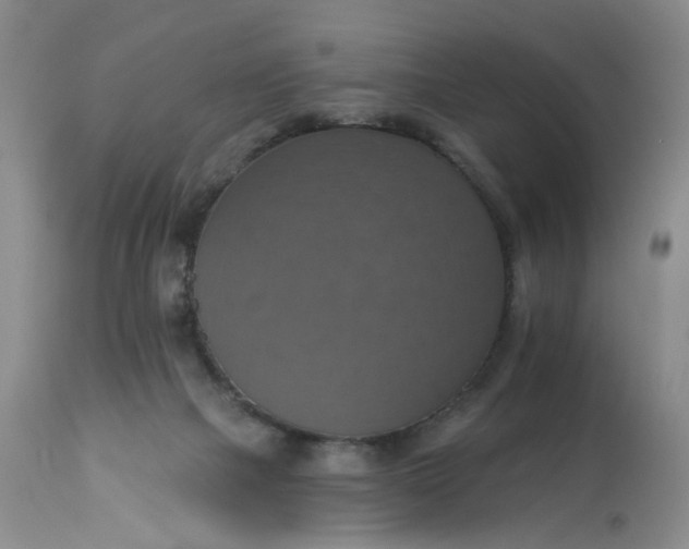 X0000113230073200910011419