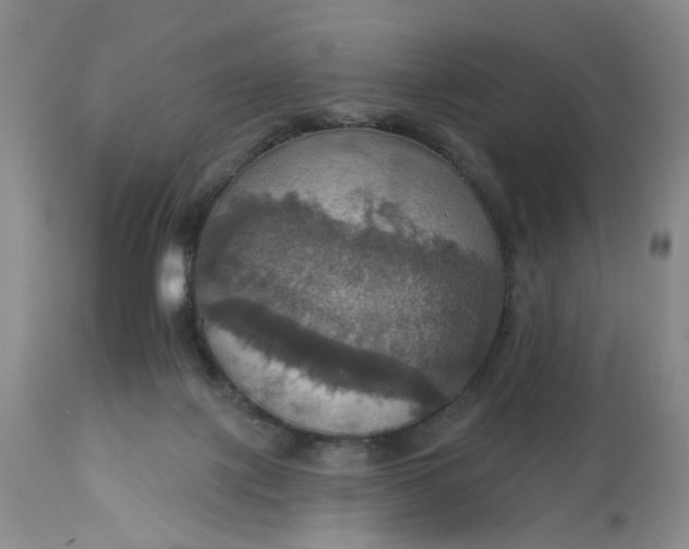 X0000113230075200910011419