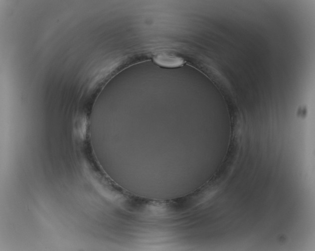 X0000113230076200910011419