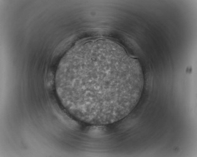 X0000113230077200910011419