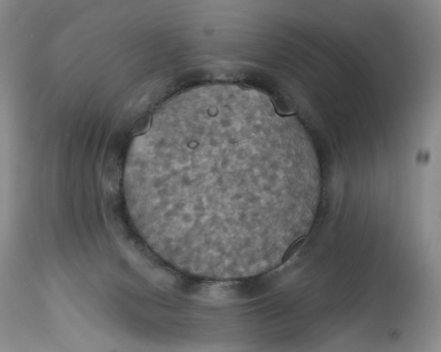 X0000113230078200910011419