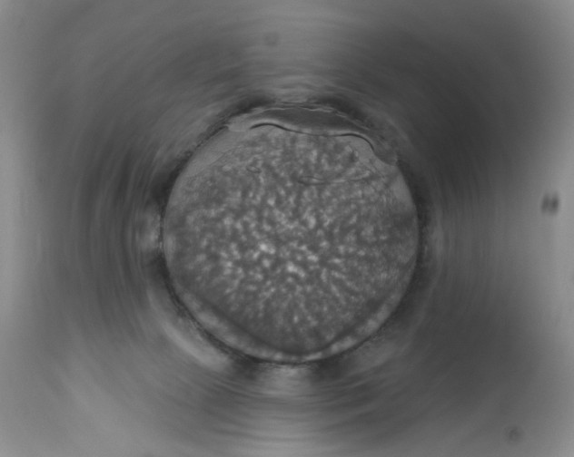 X0000113230081200910011419