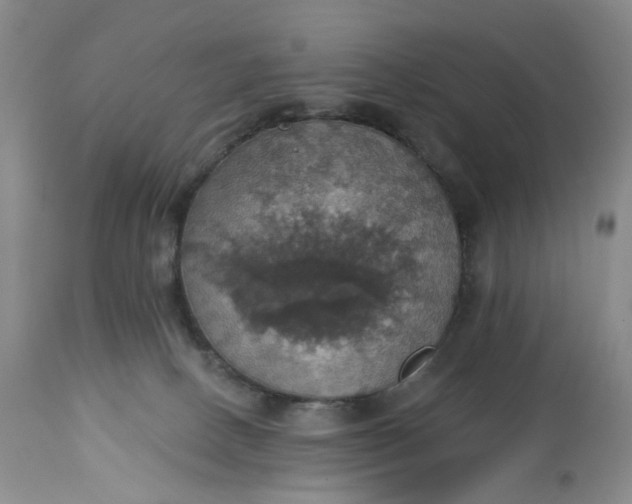 X0000113230082200910011419