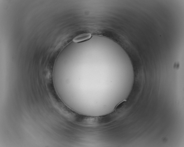 X0000113230084200910011419