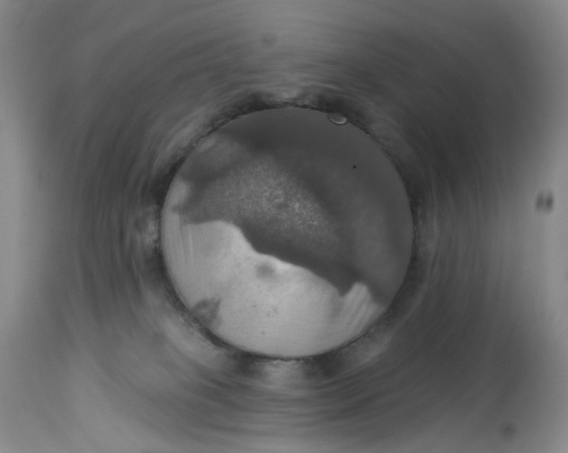 X0000113230085200910011419