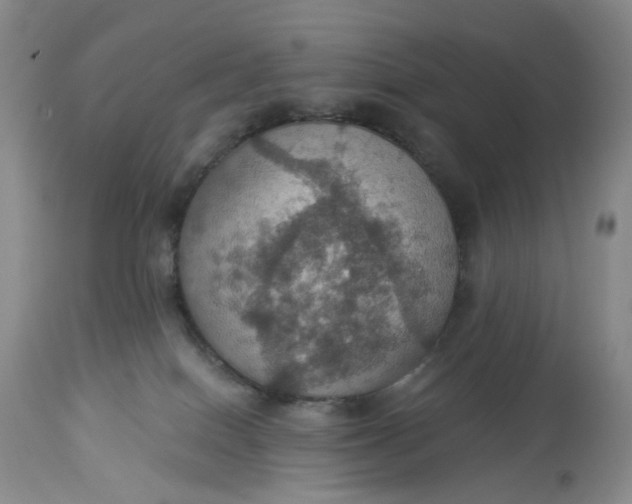 X0000113230086200910011419