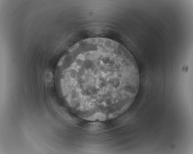 X0000113230087200910011419