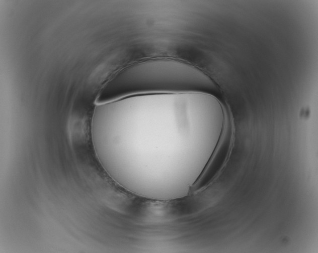 X0000113230088200910011419