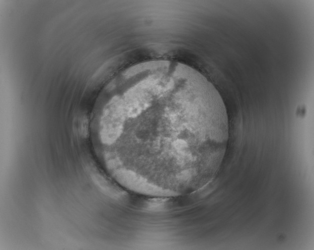 X0000113230090200910011419