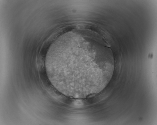 X0000113230091200910011419