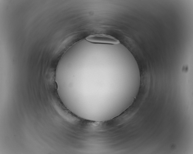 X0000113230092200910011419