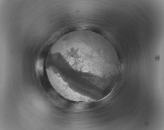 X0000113230094200910011419