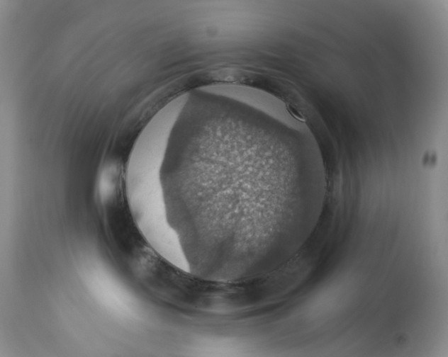 X0000113230095200910011419