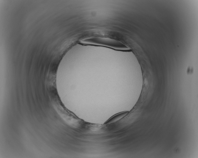 X0000113230096200910011419