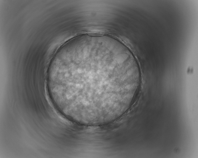 X0000113230097200910011418